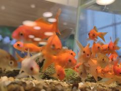 -氿熹干锅•牛蛙•烤鱼(印象城店)