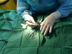 -安安宠医·安宠宠物医院