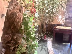 -情满四合院•京菜•烤鸭(动物园店)