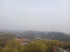 -伯先公园
