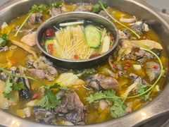 -黑河坝泡姜鸡贡椒鱼(贾旗路店)