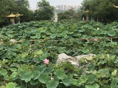 -龙门水都景区