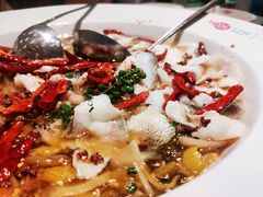 -姚姚酸菜鱼·金戈戈香港豉油鸡(喜荟城联名店)
