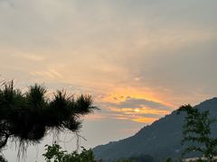 -蘇河湾·新鲁菜·泰山宴(泰山店)