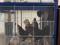 -上海华帆旗开比亚迪4S店(浦东北路店)