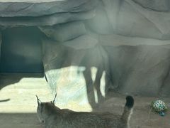 -青藏高原野生动物园