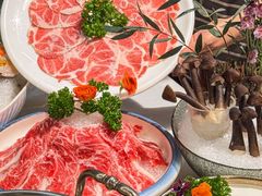 -喜聚薈·花膠雞海鮮火鍋(越秀店)