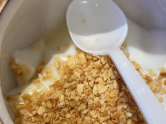 -探窝·竹笙椰子鸡(杨箕店)