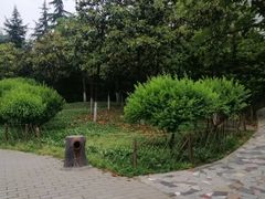 -大雁塔北广场音乐喷泉