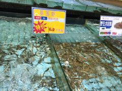 -渔民新村(番禺总店)