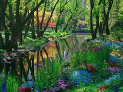 -上海共青森林公园