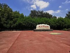 -莲花池公园