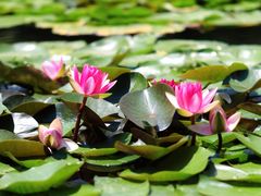 -国家植物园