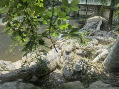 -常州淹城野生动物世界