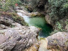 -南海湾森林生态园
