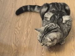 -伽利略剧本探案馆(国贸店)