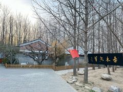 -香木香羊(小汤山店)