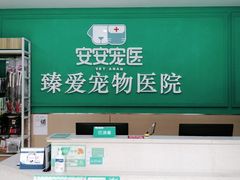 -安安宠医·臻爱宠物医院·宠保定点(营门口路分院)