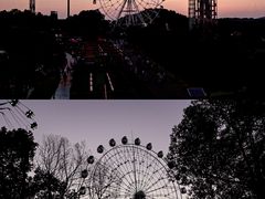 -花博汇(知音花月夜)