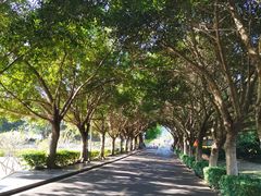 -风云岭森林公园