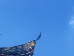 -温江公园