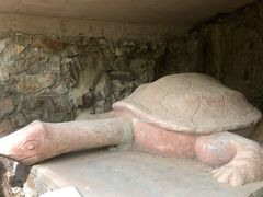 -上海佘山国家森林公园天马山园