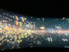 -苏州青少年科技馆