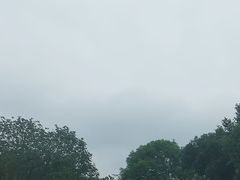 -南湖梦幻岛