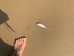 -演武大桥观景平台