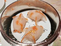 籃天使蝦金魚餃-8餐厅(新葡京酒店)