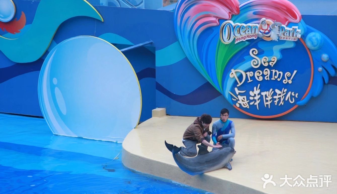 东方之珠一衣带水，永远是我们的一部分