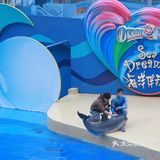 东方之珠一衣带水，永远是我们的一部分