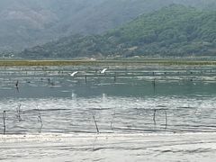 -盐洲岛