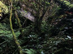 -蓝尊量贩(黄河路店)