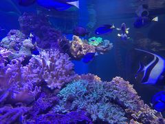-上海海昌海洋公园