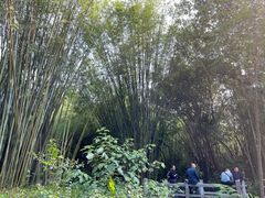 -广州市白云山风景名胜区