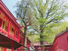 -天门寺
