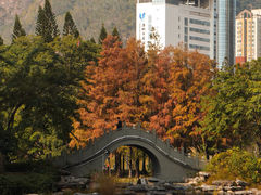 -四海公园(南山区)