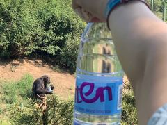 -辛玛王国游乐园