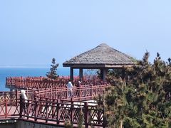-养马岛旅游度假区