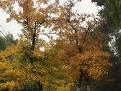 -辽宁大学(崇山校区)
