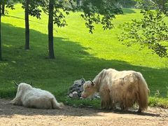 -北京野生动物园