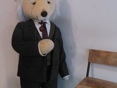 -济州岛泰迪熊博物馆