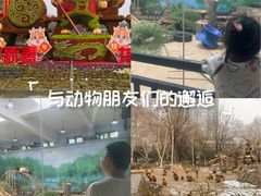 -郑州市动物园