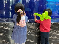 -OPEN開全日自助餐厅·牛肉火锅·海鲜(佛山希尔顿酒店)