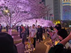 -西北湖绿化广场