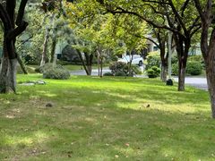 -浙江西子宾馆·瑶园咖啡厅