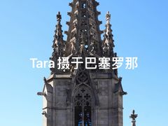 -巴塞罗那主教座堂
