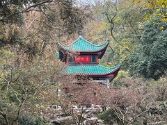 -岳麓山风景名胜区