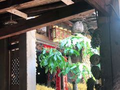 -昆虫窝子·特色云南菜(拓东路总店)